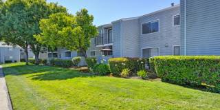 Silverstone Apartments Gallery 22