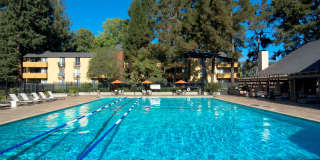 Americana Gallery 16