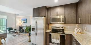 Ovation at Park Crest Gallery 18