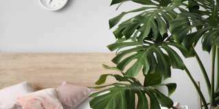 South Castle Apartments Gallery 1