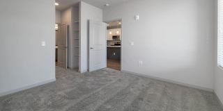 Savanna Nine Mile Gallery 79