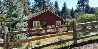 4742 S Cedar Road Gallery 16
