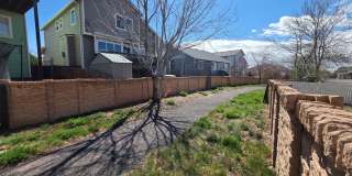 Gorgeous 4 Bed 4 bath Home In Wagon Trails!! Gallery 30