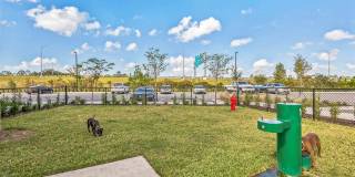 RISE Bartram Park Gallery 48