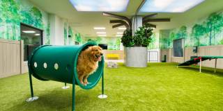 Three Collective Gallery 12