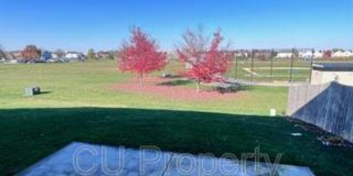 14 Parsley - 1 Gallery 25