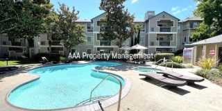 Walnut Creek Condo near Bart! Gorgeous 2 bedroom 2 bath in fantastic location! Walnut Creek Condo near Bart! Gorgeous 2 bedroom 2 bath in fantastic location! Gallery 22