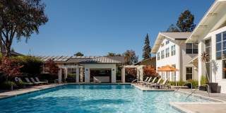 The Markham Apartments Gallery 11