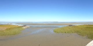 Furnished Two-Bedroom Coastal Condo | North End of Hilton Head Gallery 13