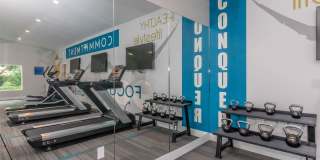 Avante Gallery 10