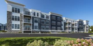 The Buckley Gallery 23