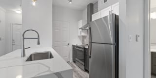 St. Martin Gallery 5