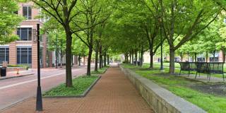 250 Daniel Burnham Square Gallery 39