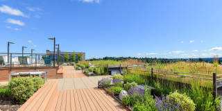 Station at Othello Gallery 31