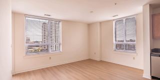 The Veridian Gallery 24