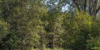 The Bungalows on the Lake - The View Gallery 162