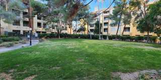 210 E Flamingo Road Gallery 50
