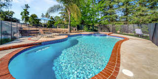 30428 Penrod Dr Gallery 55