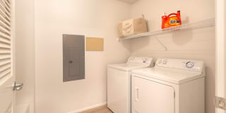 Olympus at Daybreak Gallery 16