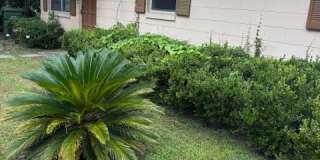 111 B North Moss Street Gallery 1