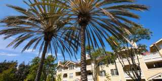 The Presidio Apartments Gallery 24