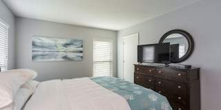 Imperial Palms Gallery 30