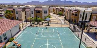 Sonoma Palms Gallery 27