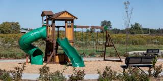 The Edison at Maple Grove Gallery 77