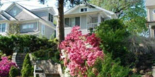 Palisades Splendor Gallery 1