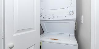 Carrington Gallery 68