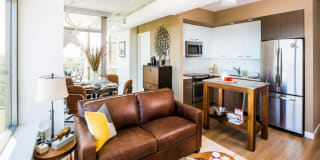 The View Ballston Gallery 19