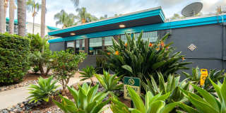 The Pacific at Mission Bay Gallery 138