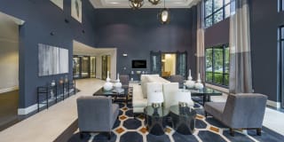 The Collection Gallery 50