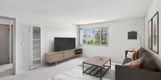 Ava Newport Gallery 3