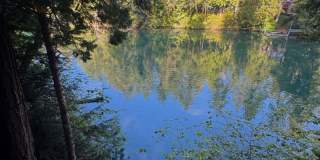 Stunning waterfront retreat.....at the foot of Fletcher Bay on Bainbridge Island Gallery 1