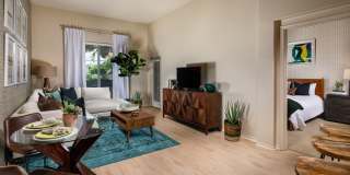 Allure Apartments Gallery 18