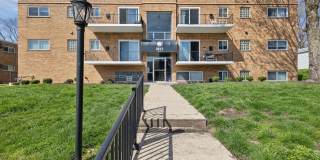 Crossings at Cheviot Gallery 26