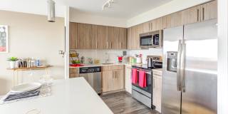 SCIO at The Medical District Gallery 2