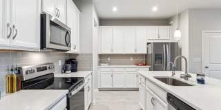 Spacious 3BR Townhome in Lutz Gallery 6