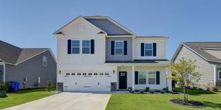 Discover your dream home at 728 Bustling Branch Lane in the vibrant community of Elgin! Gallery 1