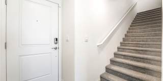 3426 La Cura Avenue Gallery 3