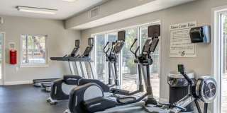 Maple Bay Gallery 12