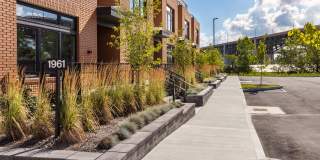 The Collins The Collins Gallery 7