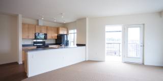 Broadway Flats Gallery 14