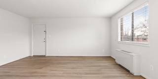 International Apartments Gallery 13
