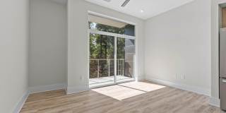 2441 Campus Shore Drive unit: 309 Gallery 11