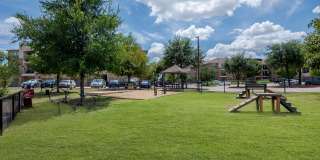 Discovery at Craig Ranch Gallery 6