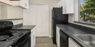 Village Fair Gallery 15