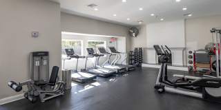 Foxchase Apartments Gallery 21