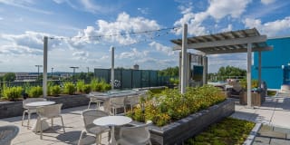 Bell Shady Grove Gallery 41